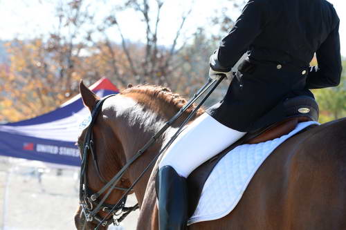 HHB-DressageFinals-11-8-13-0682-DDeRosaPhoto