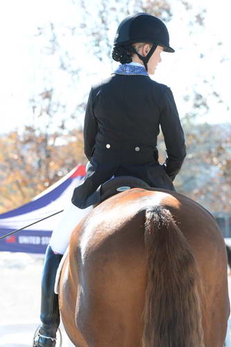 HHB-DressageFinals-11-8-13-0684-DDeRosaPhoto