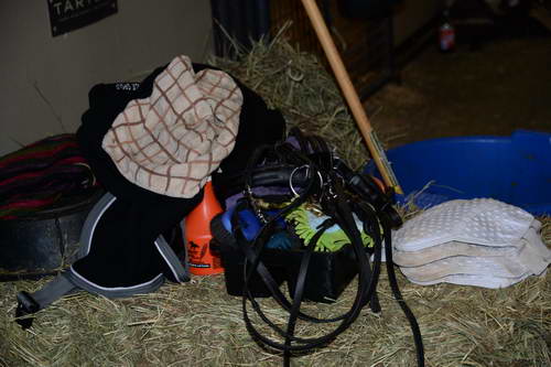 HHB-DressageFinals-11-8-13-0694-DDeRosaPhoto