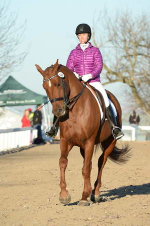 HHB-DressageFinals-11-9-13-2113-DDeRosaPhoto