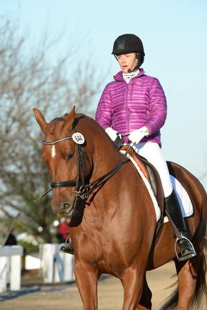 HHB-DressageFinals-11-9-13-2115-DDeRosaPhoto