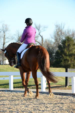 HHB-DressageFinals-11-9-13-2117-DDeRosaPhoto