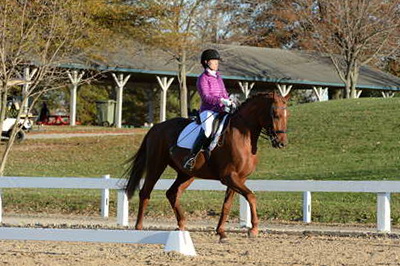 HHB-DressageFinals-11-9-13-2120-DDeRosaPhoto