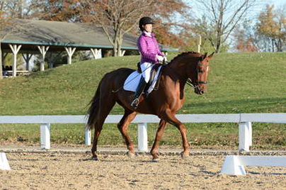HHB-DressageFinals-11-9-13-2122-DDeRosaPhoto