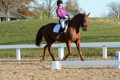 HHB-DressageFinals-11-9-13-2123-DDeRosaPhoto