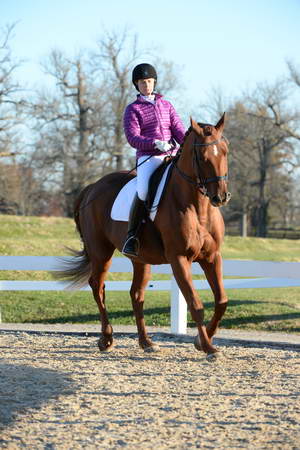 HHB-DressageFinals-11-9-13-2124-DDeRosaPhoto