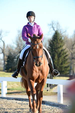 HHB-DressageFinals-11-9-13-2126-DDeRosaPhoto