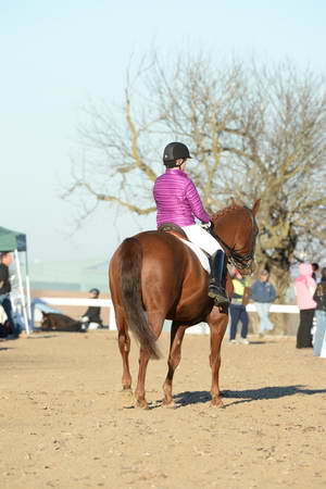 HHB-DressageFinals-11-9-13-2129-DDeRosaPhoto