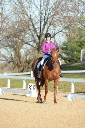 HHB-DressageFinals-11-9-13-2130-DDeRosaPhoto