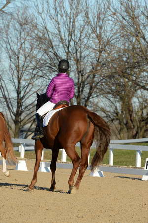 HHB-DressageFinals-11-9-13-2131-DDeRosaPhoto
