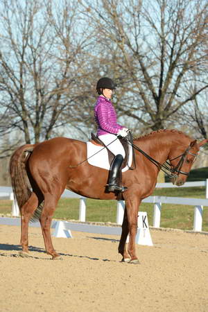 HHB-DressageFinals-11-9-13-2132-DDeRosaPhoto