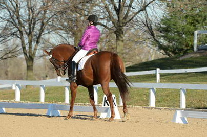HHB-DressageFinals-11-9-13-2144-DDeRosaPhoto