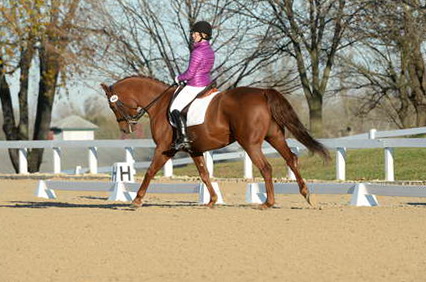 HHB-DressageFinals-11-9-13-2145-DDeRosaPhoto