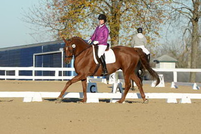 HHB-DressageFinals-11-9-13-2147-DDeRosaPhoto