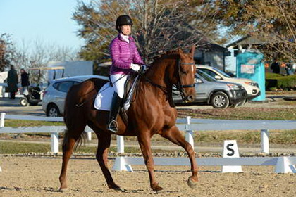 HHB-DressageFinals-11-9-13-2149-DDeRosaPhoto