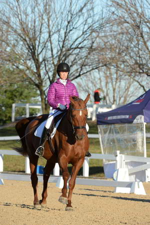 HHB-DressageFinals-11-9-13-2159-DDeRosaPhoto