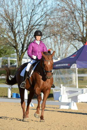 HHB-DressageFinals-11-9-13-2160-DDeRosaPhoto