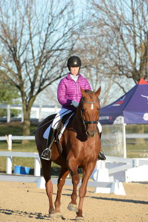HHB-DressageFinals-11-9-13-2161-DDeRosaPhoto