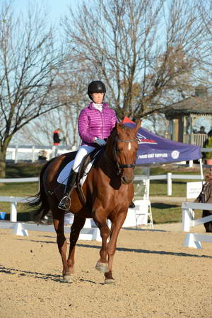 HHB-DressageFinals-11-9-13-2163-DDeRosaPhoto