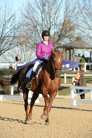 HHB-DressageFinals-11-9-13-2164-DDeRosaPhoto