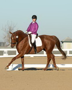 HHB-DressageFinals-11-9-13-2167-DDeRosaPhoto