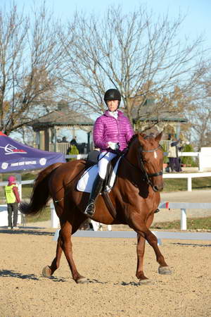 HHB-DressageFinals-11-9-13-2173-DDeRosaPhoto