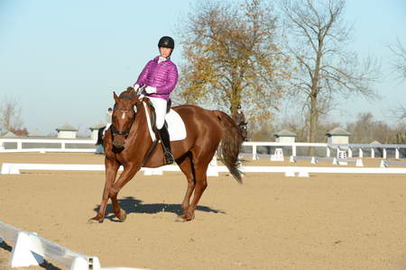 HHB-DressageFinals-11-9-13-2179-DDeRosaPhoto