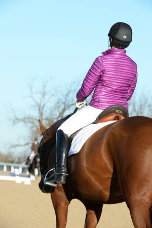 HHB-DressageFinals-11-9-13-2198-DDeRosaPhoto