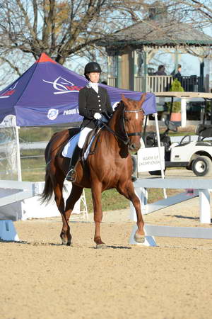 HHB-DressageFinals-11-9-13-2217-DDeRosaPhoto