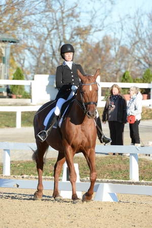 HHB-DressageFinals-11-9-13-2231-DDeRosaPhoto
