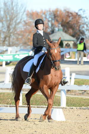HHB-DressageFinals-11-9-13-2234-DDeRosaPhoto