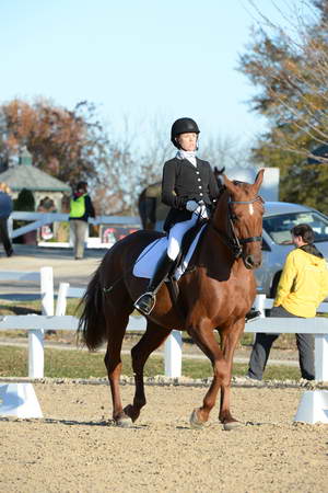 HHB-DressageFinals-11-9-13-2236-DDeRosaPhoto