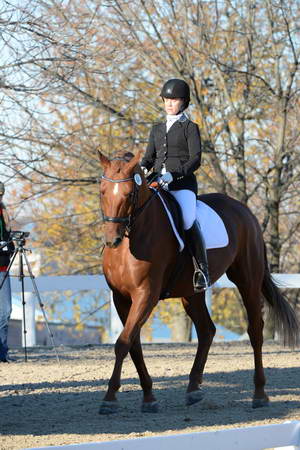 HHB-DressageFinals-11-9-13-2259-DDeRosaPhoto