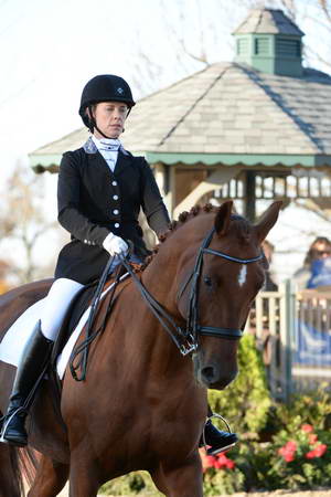 HHB-DressageFinals-11-9-13-2262-DDeRosaPhoto