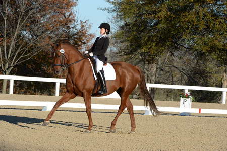 HHB-DressageFinals-11-9-13-2269-DDeRosaPhoto