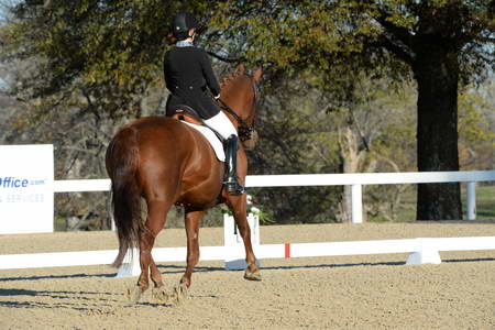 HHB-DressageFinals-11-9-13-2279-DDeRosaPhoto