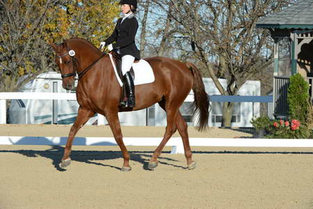 HHB-DressageFinals-11-9-13-2287-DDeRosaPhoto