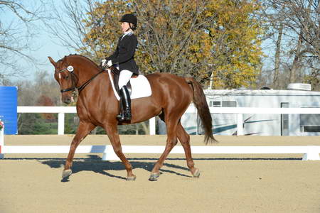 HHB-DressageFinals-11-9-13-2288-DDeRosaPhoto