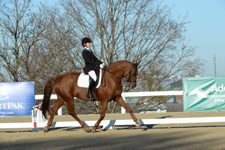HHB-DressageFinals-11-9-13-2290-DDeRosaPhoto