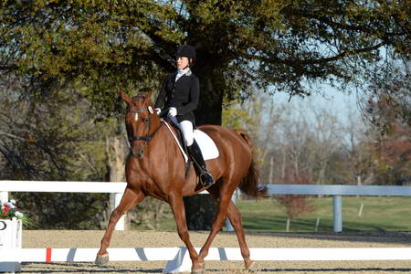 HHB-DressageFinals-11-9-13-2305-DDeRosaPhoto