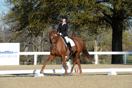 HHB-DressageFinals-11-9-13-2306-DDeRosaPhoto