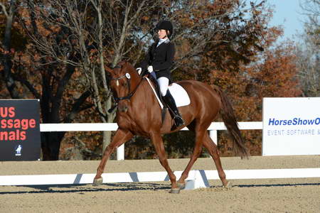 HHB-DressageFinals-11-9-13-2308-DDeRosaPhoto