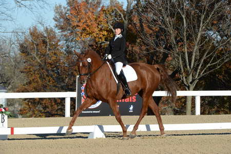 HHB-DressageFinals-11-9-13-2309-DDeRosaPhoto