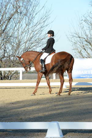 HHB-DressageFinals-11-9-13-2320-DDeRosaPhoto