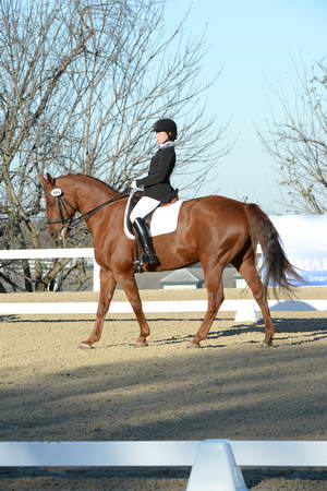HHB-DressageFinals-11-9-13-2321-DDeRosaPhoto