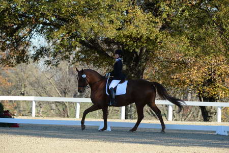 HHB-DressageFinals-11-9-13-2338-DDeRosaPhoto