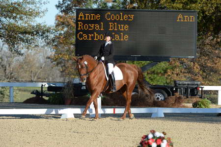 HHB-DressageFinals-11-9-13-2342-DDeRosaPhoto
