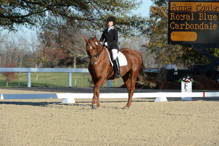 HHB-DressageFinals-11-9-13-2343-DDeRosaPhoto