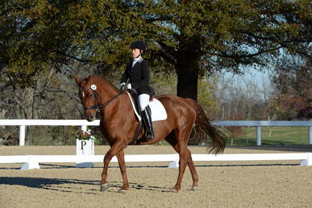 HHB-DressageFinals-11-9-13-2344-DDeRosaPhoto