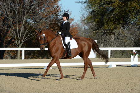 HHB-DressageFinals-11-9-13-2345-DDeRosaPhoto